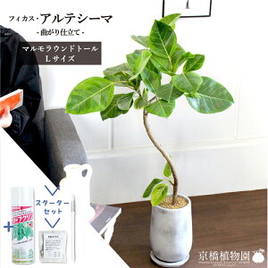 y30P5{IzyX^[^[Zbgtzy}Ehg[LztBJXEAeV[}@Ȃy󂯎MtzyϗtA/CeA//i`/A/蕨/yV/ʔ/~