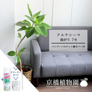 ySSN[|zyX^[^[Zbgtzyou[oXPbgJo[ztBJXEAeV[}@7@ȂyϗtA/CeA//i`/A/蕨/yV/ʔ/~