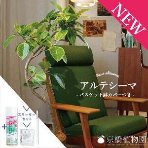 y1P7{IzyX^[^[ZbgtztBJXEAeV[}@Ȃ@8yoXPbgJo[/uEzyϗtA/CeA//i`/A/蕨/yV/ʔ/~h