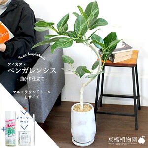 y1P7{IzyX^[^[ZbgtztBJXExKVX@Ȃy}Ehg[L/󂯎MtzyϗtA/CeA//i`/A/蕨/yV/ʔ/~h