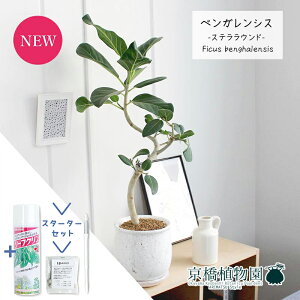 y1P7{IzyX^[^[ZbgtztBJXExKVX@ȂyXeEhL/󂯎MtzyϗtA/CeA//i`/A/蕨/yV/ʔ/X[T