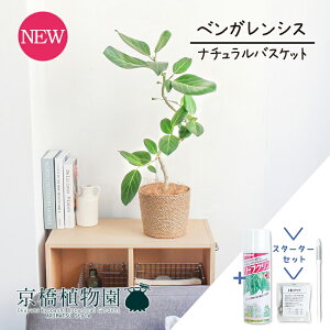 y30P5{IzyX^[^[Zbgtzyi`oXPbgJo[ztBJXExKVX@6@ȂyϗtA/CeA//i`/A/蕨/yV/ʔ/~