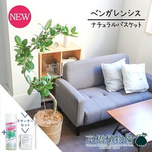 y30P5{IzyX^[^[Zbgtzyi`oXPbgJo[ztBJXExKVX@8@ȂyϗtA/CeA//i`/A/蕨/yV/ʔ/~