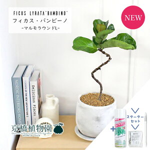 y1P7{IzyX^[^[ZbgtzJVoSmL@or[m@Ȃy}EhL/󂯎Mtz4GyϗtA/CeA//i`/A/蕨/yV/ʔ/X