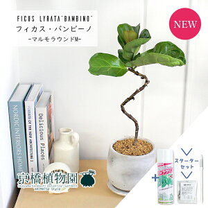 y30P5{IzyX^[^[ZbgtzJVoSmL@or[m@Ȃy}EhM/󂯎Mtz4GyϗtA/CeA//i`/A/蕨/yV/ʔ/X