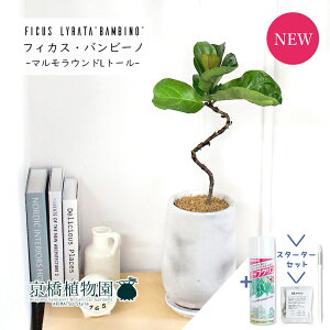 y1P7{IzyX^[^[ZbgtzJVoSmL@or[m@Ȃy}Ehg[L/󂯎Mtz4GyϗtA/CeA//i`/A/蕨/yV/