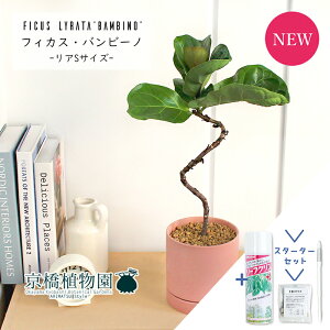 yX^[^[ZbgtzyA/sNzJVoSmL@or[m@Ȃy󂯎Mtz4GyϗtA/CeA//i`/A/蕨/yV/ʔ/X[TCY/tB