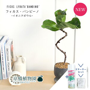 yX^[^[ZbgtzyCIjA{E/O[zJVoSmL@or[m@Ȃy󂯎Mtz4GyϗtA/CeA//i`/A/蕨/yV/ʔ/X[