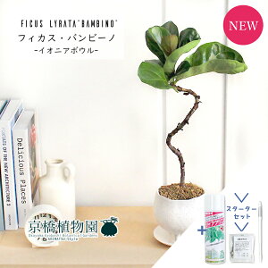 yX^[^[ZbgtzyCIjA{E/zCgzJVoSmL@or[m@Ȃy󂯎Mtz4GyϗtA/CeA//i`/A/蕨/yV/ʔ/X[