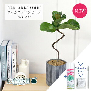 y30P5{IzyX^[^[ZbgtzyJg/ubNzJVoSmL@or[m@Ȃy󂯎Mtz4GyϗtA/CeA//i`/A/蕨/yV/