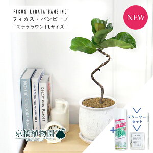 y30P5{IzyX^[^[ZbgtzJVoSmL@or[m@ȂyXeEhL/󂯎Mtz4GyϗtA/CeA//i`/A/蕨/yV/ʔ/X