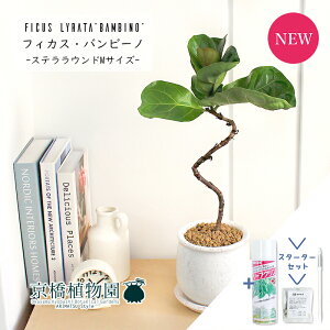 y1P7{IzyX^[^[ZbgtzJVoSmL@or[m@ȂyXeEhM/󂯎Mtz4GyϗtA/CeA//i`/A/蕨/yV/ʔ/X