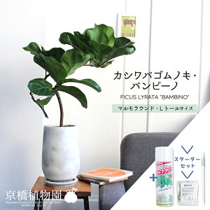 y1P7{IzyX^[^[Zbgtzy}Ehg[L/󂯎MtzJVoSmL@or[m@ȂyϗtA/CeA//i`/A/蕨/yV/ʔ/