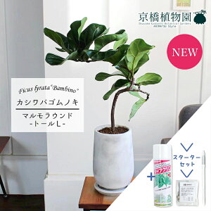 y30P5{IzyX^[^[Zbgtzy}Ehg[L/󂯎MtzJVoSmL@or[m@ȂyϗtA/CeA//i`/A/蕨/yV/ʔ