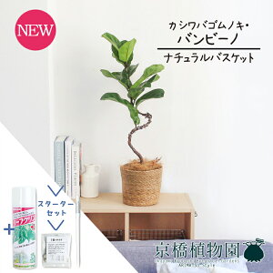 yX^[^[Zbgtzyi`oXPbgJo[zJVoSmL@or[m@Ȃ @6yϗtA/CeA//i`/A/蕨/yV/ʔ/~hTCY