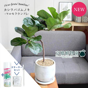 y30P5{IzyX^[^[ZbgtzJVoSmL@or[m@Ȃy}EhL/󂯎Mtz6GyϗtA/CeA//i`/A/蕨/yV/ʔ/X