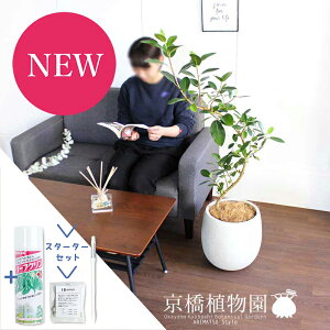 yX^[^[ZbgtztXS@Ȃ@7yo[Jo[/AeB[NzCgzyϗtA/CeA//i`/A/蕨/yV/ʔ/~hTCY/S