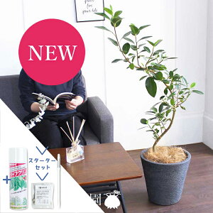 yX^[^[ZbgtztXS@Ȃ@7yrAXJo[/ubNzyϗtA/CeA//i`/A/蕨/yV/ʔ/~hTCY/S̖/lCi/TX