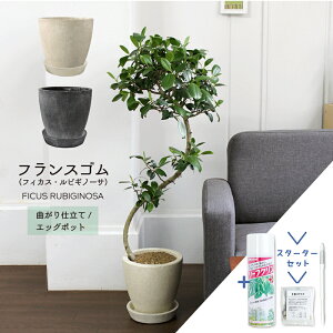 y30P5{IzyX^[^[ZbgtzyIׂJ[ztXS@ȂyGbO|bg/󂯎MtzyϗtA/CeA//i`/A/蕨/yV/ʔ/~hT