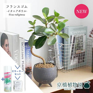 yX^[^[ZbgtzyCIjA{E/O[ztXS@Ȃy󂯎MtzyϗtA/CeA//i`/A/蕨/yV/ʔ/X[TCY/S̖/