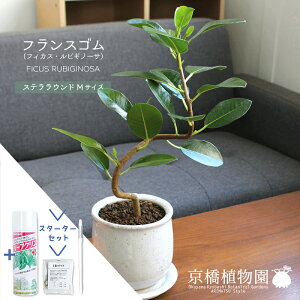 y30P5{Izy}\N[|LzyX^[^[ZbgtztXS@ȂyXeEhM/󂯎MtzyϗtA/CeA//i`/A/蕨/yV/