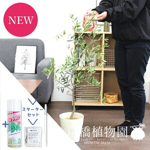 yX^[^[ZbgtzI[u@6yϗtA/CeA//i`/A/蕨/yV/ʔ/~hTCY/lCi/TXeB[/SUSTEE/[tN/IB̃`Jz