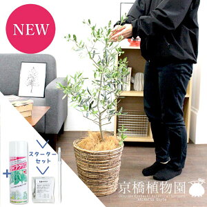 y1P7{IzyX^[^[ZbgtzI[u@7yoXPbgJo[/uEzyϗtA/CeA//i`/A/蕨/yV/ʔ/~hTCY/lCi/TXe