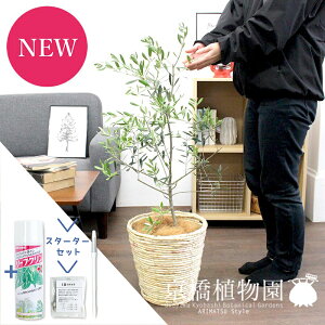 yX^[^[ZbgtzI[u@7yoXPbgJo[/AC{[zyϗtA/CeA//i`/A/蕨/yV/ʔ/~hTCY/lCi/TXeB[/SUSTEE/