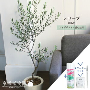 y30P5{IzyX^[^[ZbgtzyIׂ锫J[zI[uyGbO|bg/󂯎MtzyϗtA/CeA//i`/A/蕨/yV/ʔ/~hTCY/lC