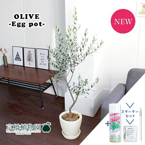 y1P7{IzyX^[^[ZbgtzyIׂ锫J[zI[uyGbO|bgzyAC{[/O[zyϗtA/CeA//i`/A/蕨/yV/ʔ/~hT