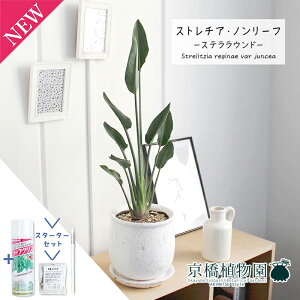 y1P7{IzyX^[^[ZbgtzyXeEhL/󂯎MtzXg`A/Xg`AEm[tiPAjyϗtA/CeA//i`/A/蕨/yV/