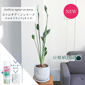 y1P7{IzyX^[^[Zbgtzy}EhL/󂯎MtzXg`A/Xg`AEm[tiPAjyϗtA/CeA//i`/A/蕨/yV/