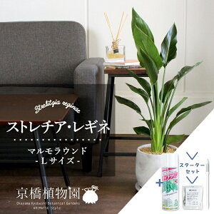 y1P7{IzyX^[^[Zbgtzy}EhL/󂯎MtzXg`A/Xg`AEMlyϗtA/CeA//i`/A/蕨/yV/ʔ/X[T