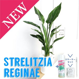 yubNtCf[N[|LIzyX^[^[ZbgtzXg`A/Xg`AEMl@6yZA[gzyϗtA/CeA//i`/A/蕨/yV/