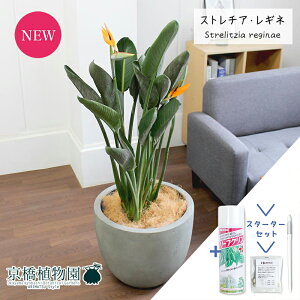 yX^[^[ZbgtzXg`A/Xg`AEMl@10y[hCgEhJo[zyϗtA/CeA//i`/A/蕨/yV/ʔ/[WTCY/^/