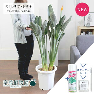 yX^[^[ZbgtzXg`A/Xg`AEMl@10yϗtA/CeA//i`/A/蕨/yV/ʔ/[WTCY/^/lCi/TXeB[/SUSTEE/[tN