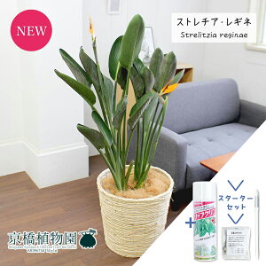 yX^[^[ZbgtzXg`A/Xg`AEMl@10yoXPbgJo[/AC{[zyϗtA/CeA//i`/A/蕨/yV/ʔ/[WTCY/^