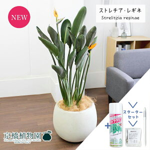 yX^[^[ZbgtzXg`A/Xg`AEMl@10yo[Jo[/AeB[NzCgzyϗtA/CeA//i`/A/蕨/yV/ʔ/[WT