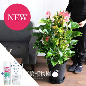 yX^[^[ZbgtzAXEiAX[j@10yԐFFsNnzyϗtA/CeA//i`/A/蕨/yV/ʔ/[WTCY/lCi/TXeB[/