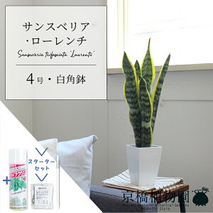 yX^[^[ZbgtzTXxAE[`@4yXNGAzyϗtA/CeA//i`/A/蕨/yV/ʔ/X[TCY/lCi/gmI/TZx