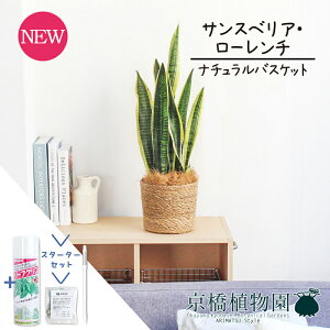 y30P5{IzyX^[^[Zbgtzyi`oXPbgJo[zTXxAE[`@5yϗtA/CeA//i`/A/蕨/yV/ʔ/X[T