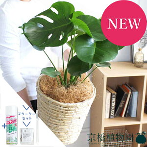 y1P7{IzyX^[^[ZbgtzXe@7yoXPbgJo[/AC{[zyϗtA/CeA//i`/A/蕨/yV/ʔ/~hTCY/lCi/T