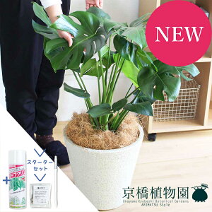 y}\N[|LIzyX^[^[ZbgtzXe@8yrAXJo[/zCgzyϗtA/CeA//i`/A/蕨/yV/ʔ/~hTCY/lC