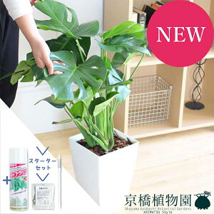 y1P7{IzyX^[^[ZbgtzXe@8@pyϗtA/CeA//i`/A/蕨/yV/ʔ/~hTCY/lCi/TXeB[/SUSTEE/[tN