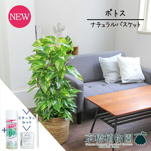 y1P7{IzyX^[^[Zbgtzyi`oXPbgJo[z|gX@7yϗtA/CeA//i`/A/蕨/yV/ʔ/~hTCY/lCi/TXe