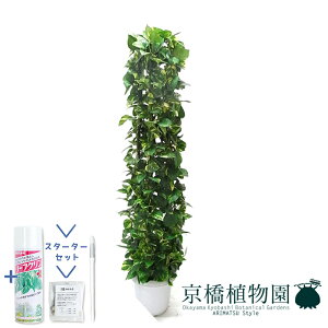 yX^[^[Zbgtz|gX@10yϗtA/CeA//i`/A/蕨/yV/ʔ/[WTCY/lCi/^/TXeB[/SUSTEE/[tN/IB̃`Jz