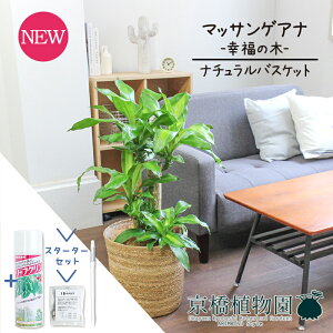 yX^[^[Zbgtzyi`oXPbgJo[zhZiE}bTQAi@7yϗtA/CeA//i`/A/蕨/yV/ʔ/~hTCY/K̖/T