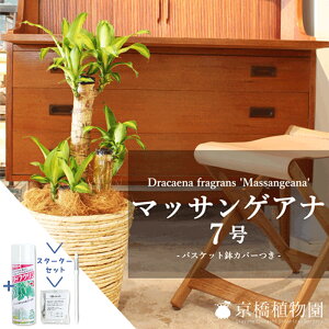 yX^[^[ZbgtzhZiE}bTQAi@7yIׂoXPbgJo[tzyϗtA/CeA//i`/A/蕨/yV/ʔ/~hTCY/K̖/T