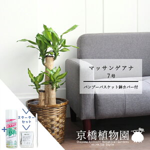 y1P7{IzyX^[^[Zbgtzyou[oXPbgJo[zhZiE}bTQAi@7yϗtA/CeA//i`/A/蕨/yV/ʔ/~hTCY/