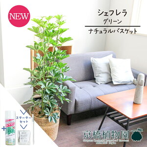 y25P5{IzyubNtCf[N[|LIzyX^[^[Zbgtzyi`oXPbgJo[zVFt@O[@8y󂯎MtzyzRJ|bNzyht